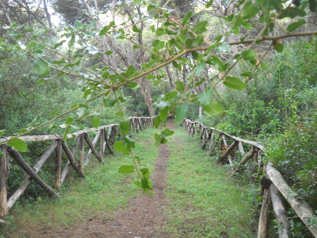 La Trottoria Agriturismo Otranto Bagian luar foto