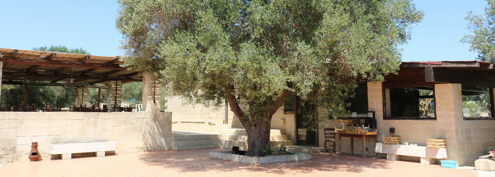 La Trottoria Agriturismo Otranto Bagian luar foto